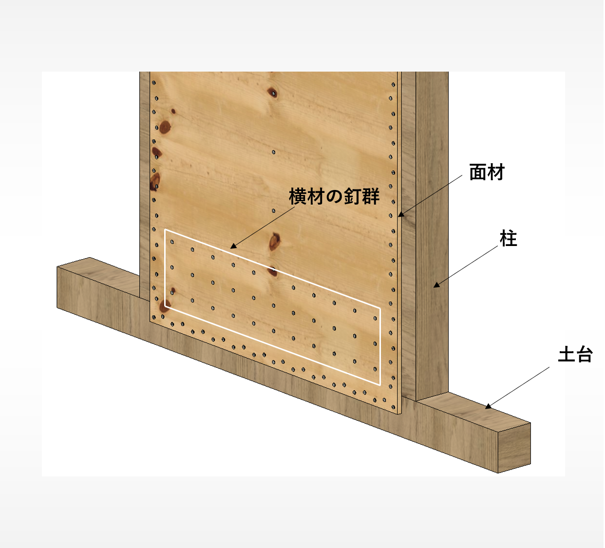 外周釘と横材釘群の詳細